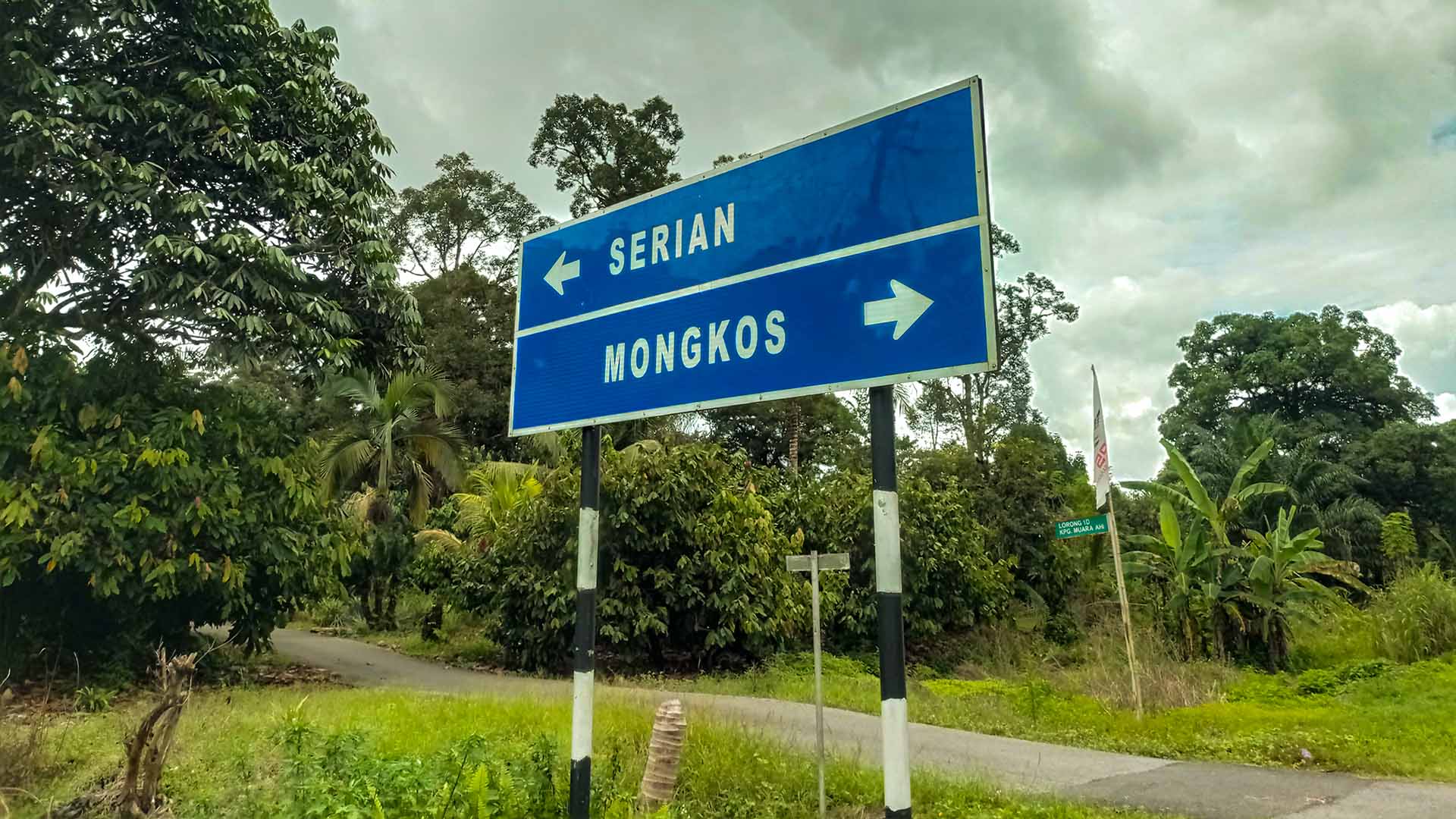 Environmental Planning