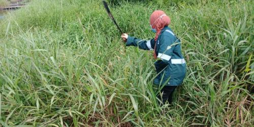 WhatsApp Image 2022-07-27 at 11.48.45 AM